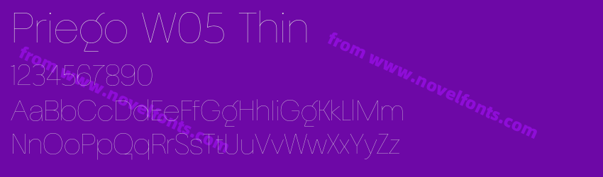 Priego W05 ThinPreview Priego W05 ThinPreview