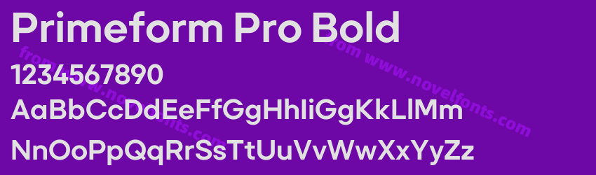 Primeform Pro BoldPreview Primeform Pro BoldPreview
