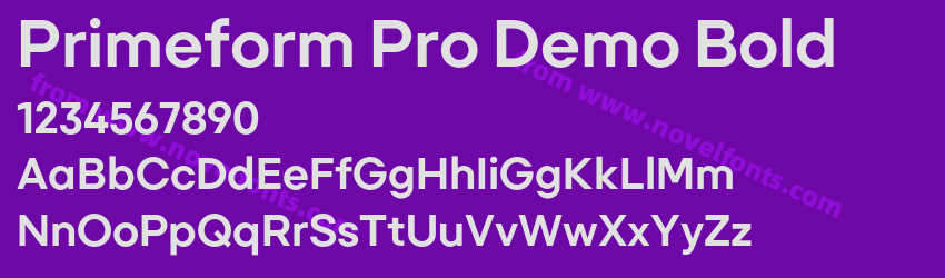 Primeform Pro Demo BoldPreview Primeform Pro Demo BoldPreview