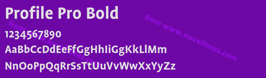 Profile Pro BoldPreview Profile Pro BoldPreview