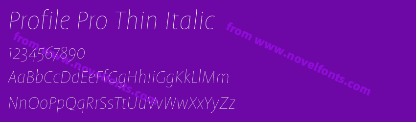 Profile Pro Thin ItalicPreview Profile Pro Thin ItalicPreview