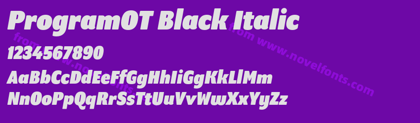 ProgramOT Black ItalicPreview ProgramOT Black ItalicPreview
