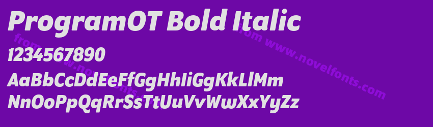 ProgramOT Bold ItalicPreview ProgramOT Bold ItalicPreview