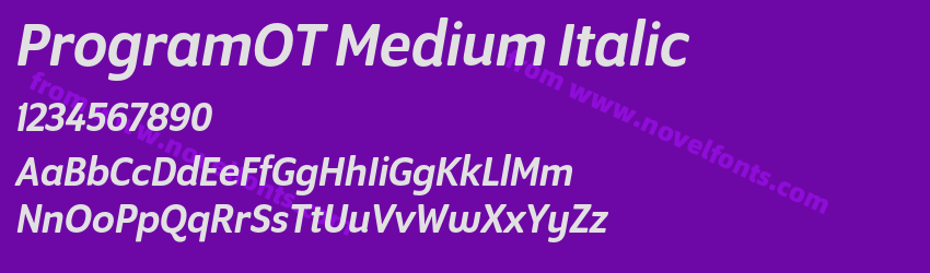 ProgramOT Medium ItalicPreview ProgramOT Medium ItalicPreview