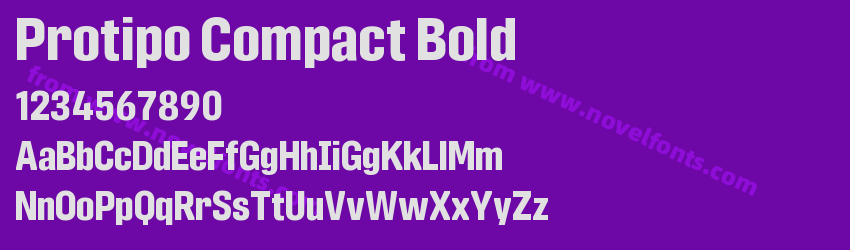 Protipo Compact BoldPreview Protipo Compact BoldPreview