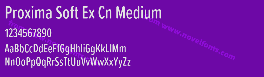 Proxima Soft Ex Cn MediumPreview Proxima Soft Ex Cn MediumPreview
