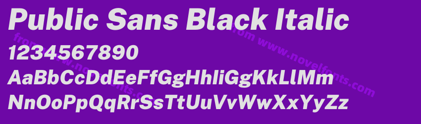 Public Sans Black ItalicPreview Public Sans Black ItalicPreview