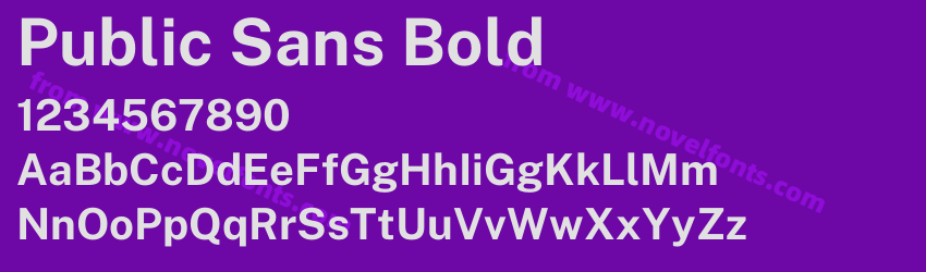 Public Sans BoldPreview Public Sans BoldPreview