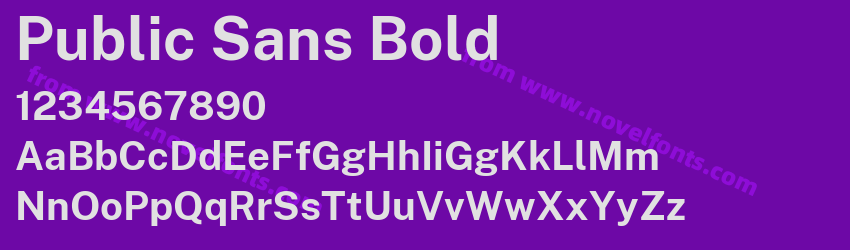 Public Sans BoldPreview Public Sans BoldPreview