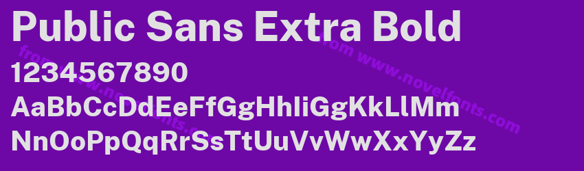 Public Sans Extra BoldPreview Public Sans Extra BoldPreview