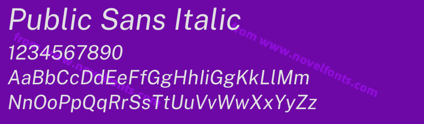 Public Sans ItalicPreview Public Sans ItalicPreview