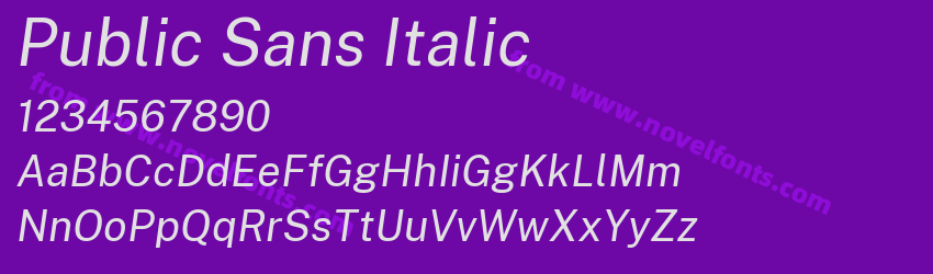 Public Sans ItalicPreview Public Sans ItalicPreview