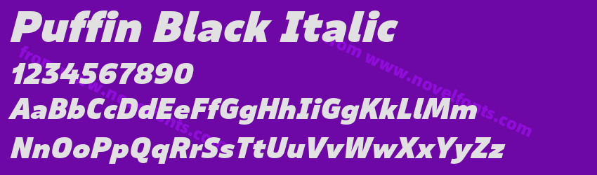 Puffin Black ItalicPreview Puffin Black ItalicPreview