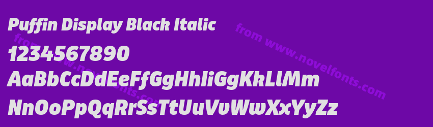 Puffin Display Black ItalicPreview Puffin Display Black ItalicPreview