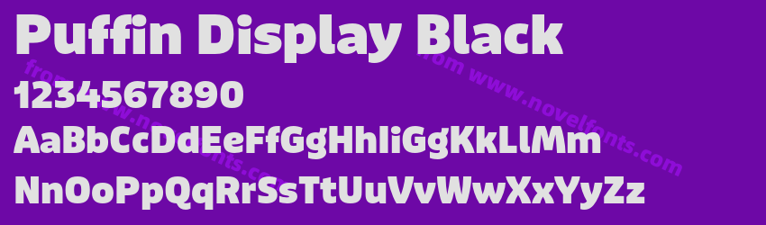 Puffin Display BlackPreview Puffin Display BlackPreview