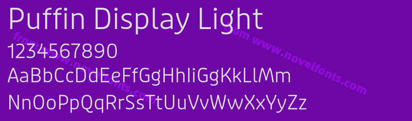 Puffin Display LightPreview Puffin Display LightPreview