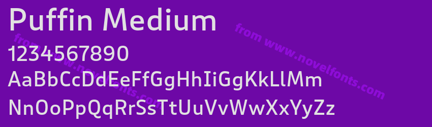 Puffin MediumPreview Puffin MediumPreview