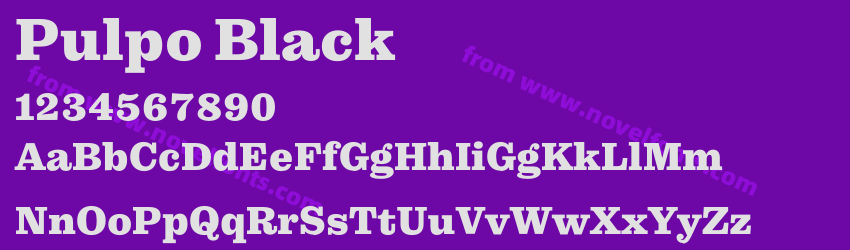 Pulpo BlackPreview Pulpo BlackPreview