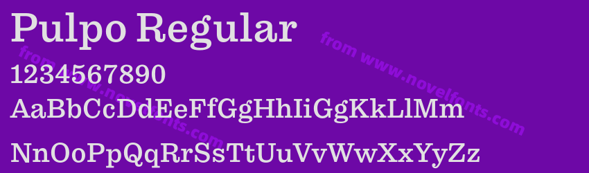 Pulpo RegularPreview Pulpo RegularPreview