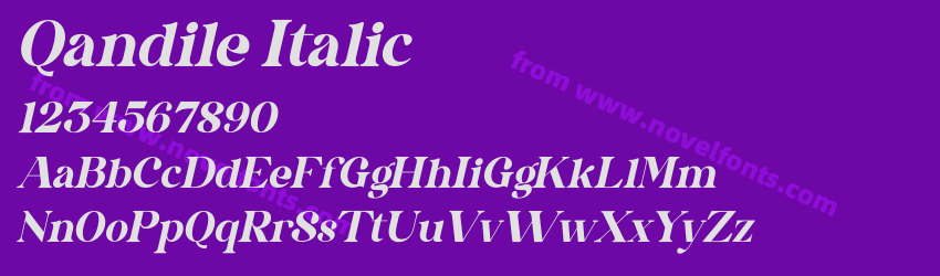 Qandile ItalicPreview Qandile ItalicPreview