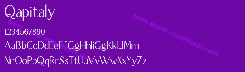 QapitalyPreview QapitalyPreview