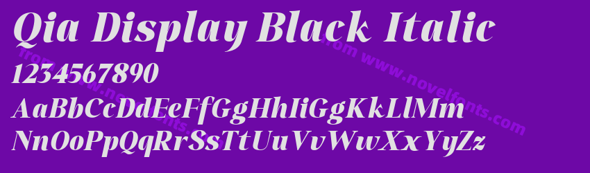 Qia Display Black ItalicPreview Qia Display Black ItalicPreview