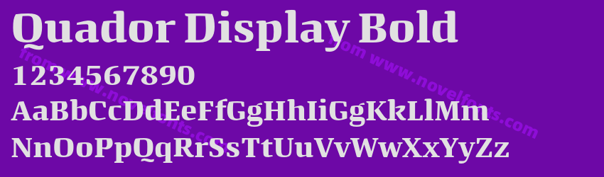 Quador Display BoldPreview Quador Display BoldPreview