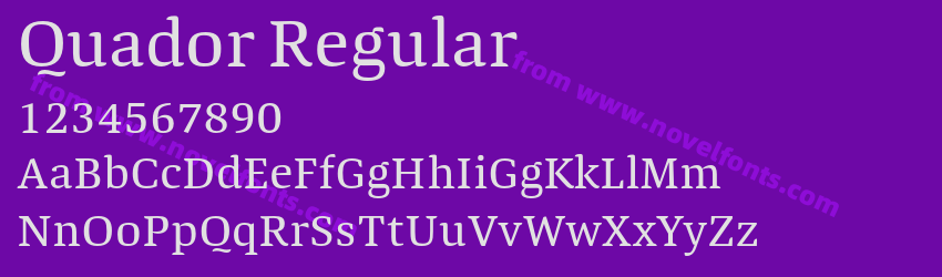 Quador RegularPreview Quador RegularPreview