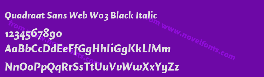 Quadraat Sans Web W03 Black ItalicPreview Quadraat Sans Web W03 Black ItalicPreview