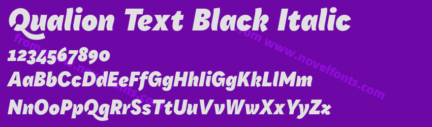 Qualion Text Black ItalicPreview Qualion Text Black ItalicPreview