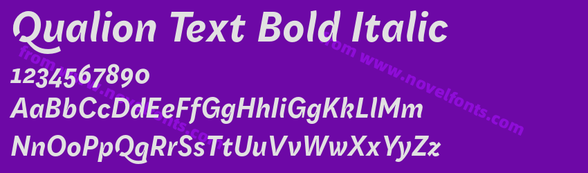 Qualion Text Bold ItalicPreview Qualion Text Bold ItalicPreview