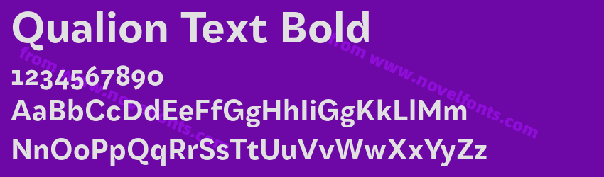 Qualion Text BoldPreview Qualion Text BoldPreview