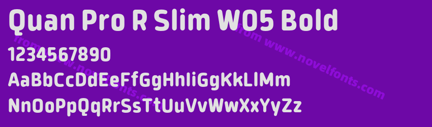 Quan Pro R Slim W05 BoldPreview Quan Pro R Slim W05 BoldPreview