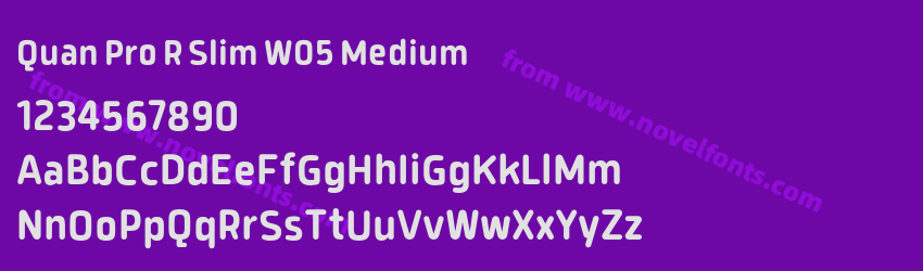 Quan Pro R Slim W05 MediumPreview Quan Pro R Slim W05 MediumPreview