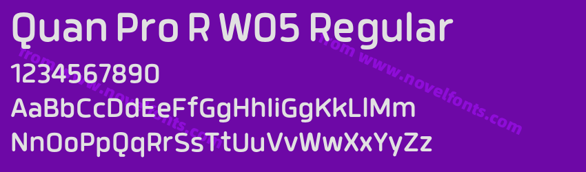 Quan Pro R W05 RegularPreview Quan Pro R W05 RegularPreview