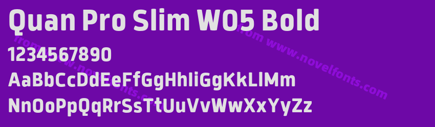 Quan Pro Slim W05 BoldPreview Quan Pro Slim W05 BoldPreview