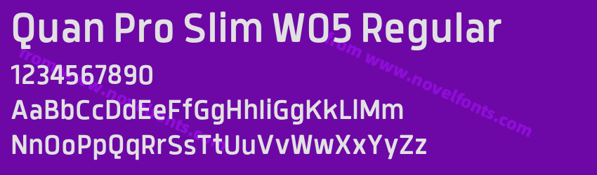 Quan Pro Slim W05 RegularPreview Quan Pro Slim W05 RegularPreview
