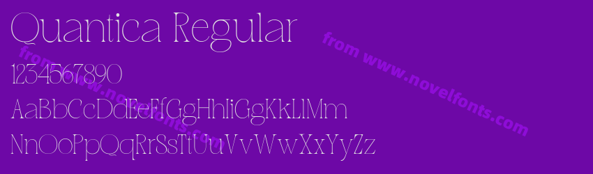 Quantica RegularPreview Quantica RegularPreview