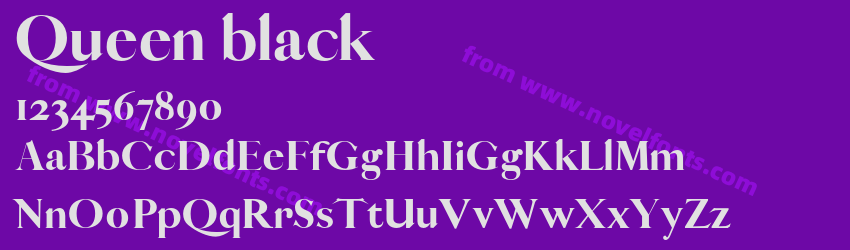 Queen blackPreview Queen blackPreview