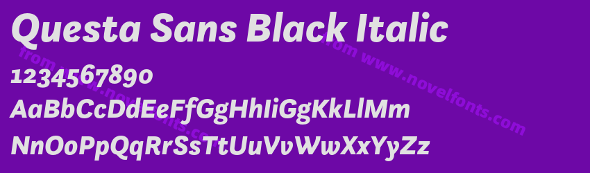 Questa Sans Black ItalicPreview Questa Sans Black ItalicPreview