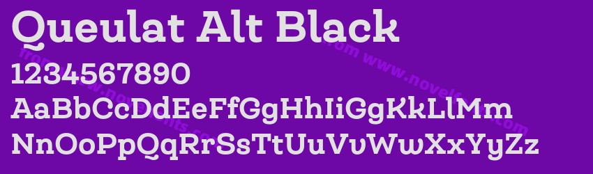 Queulat Alt BlackPreview Queulat Alt BlackPreview