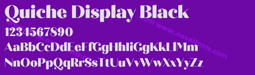 Quiche Display BlackPreview Quiche Display BlackPreview