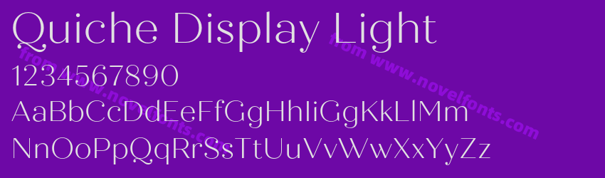 Quiche Display LightPreview Quiche Display LightPreview