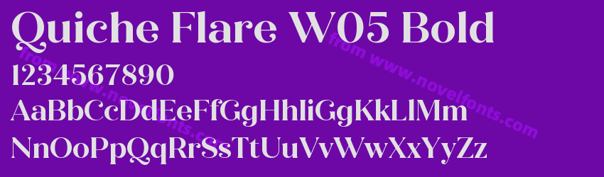 Quiche Flare W05 BoldPreview Quiche Flare W05 BoldPreview