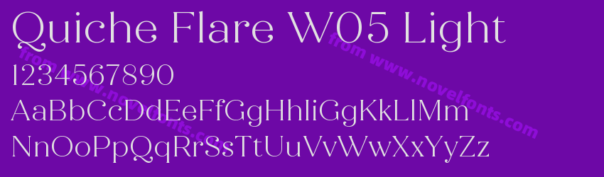 Quiche Flare W05 LightPreview Quiche Flare W05 LightPreview