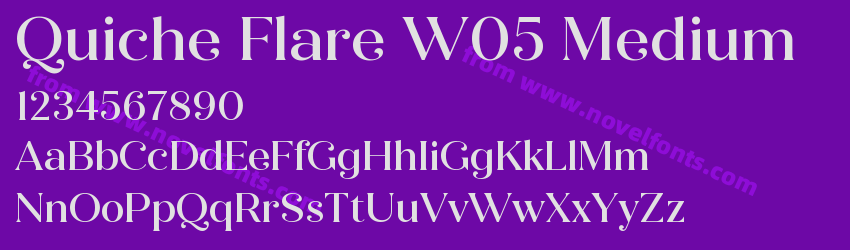 Quiche Flare W05 MediumPreview Quiche Flare W05 MediumPreview