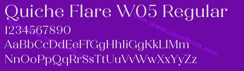 Quiche Flare W05 RegularPreview Quiche Flare W05 RegularPreview