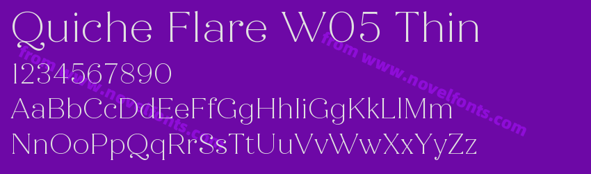 Quiche Flare W05 ThinPreview Quiche Flare W05 ThinPreview