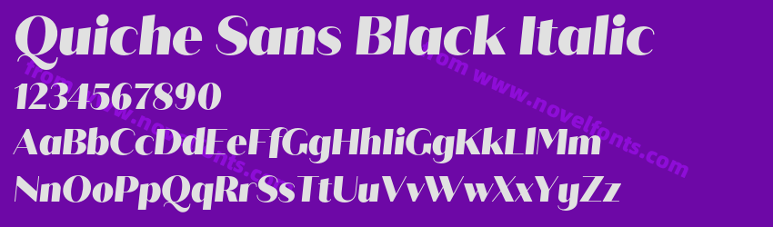 Quiche Sans Black ItalicPreview Quiche Sans Black ItalicPreview