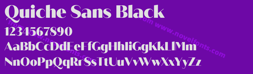 Quiche Sans BlackPreview Quiche Sans BlackPreview